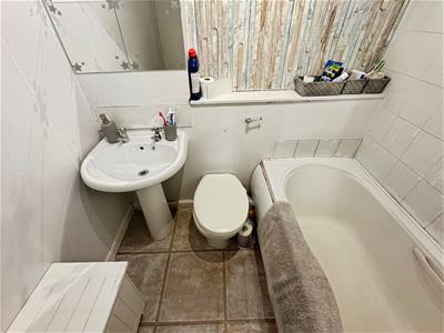 Picture 11